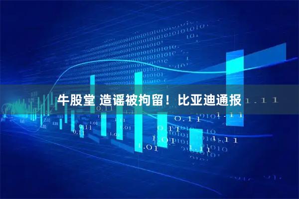 牛股堂 造谣被拘留！比亚迪通报