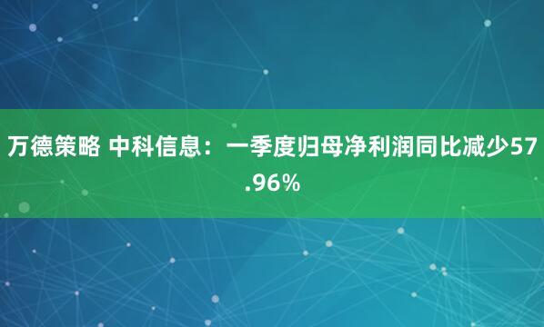 万德策略 中科信息：一季度归母净利润同比减少57.96%