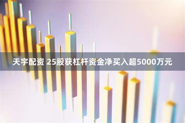 天宇配资 25股获杠杆资金净买入超5000万元