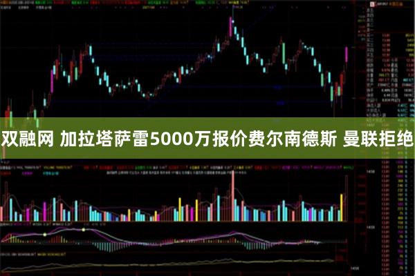 双融网 加拉塔萨雷5000万报价费尔南德斯 曼联拒绝